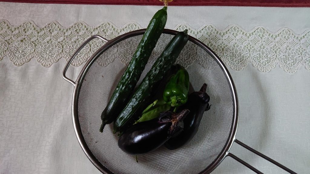 第18号 3 前田の野菜観察日記 その2 Official Filing Company